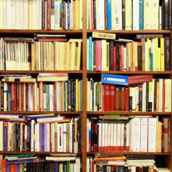 Literaturblog